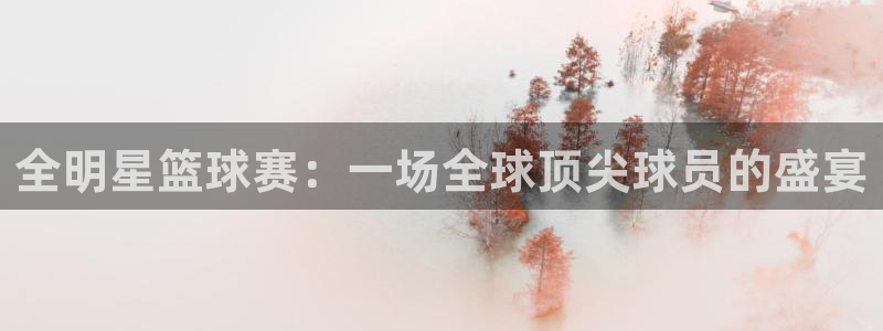全明星篮球赛：一场全球顶尖球员的盛宴