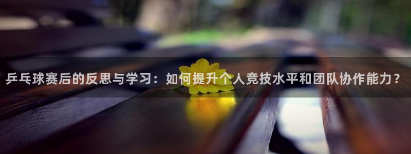 乒乓球赛后的反思与学习：如何提升个人竞技水平和团队协作能力？