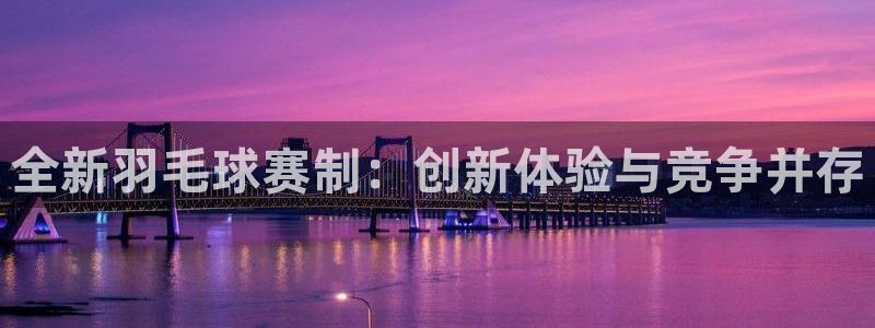 北京市米兰体育文化发展有限公司：全新羽毛球赛制：创新体验与竞