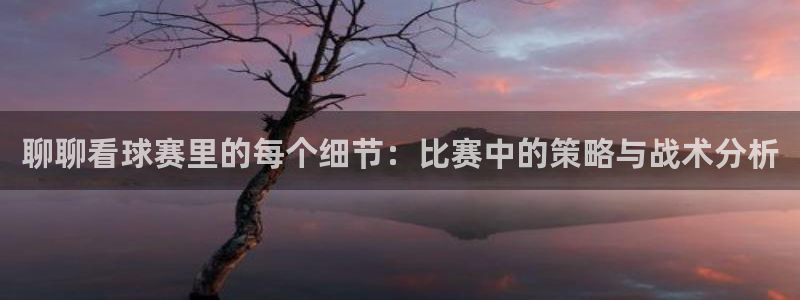 米兰体育网页版登录：聊聊看球赛里的每个细节：比赛中的策略与战